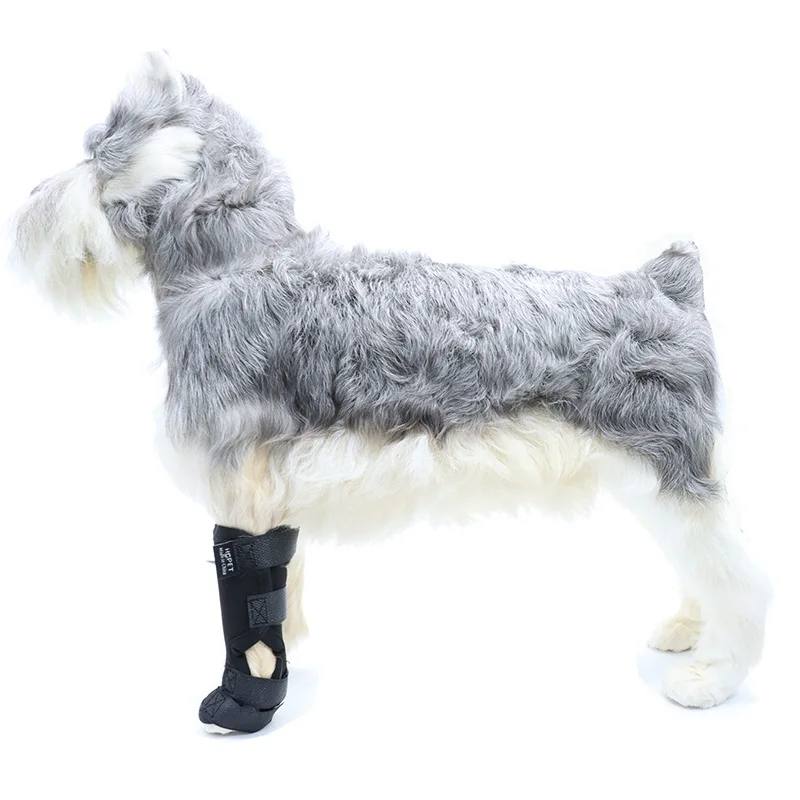 

Dog Knee Protector Bandages for Surgery Recovery Protect Joints Hock Brace Straps Prevent Injuries Pet Wound Protector Supplies