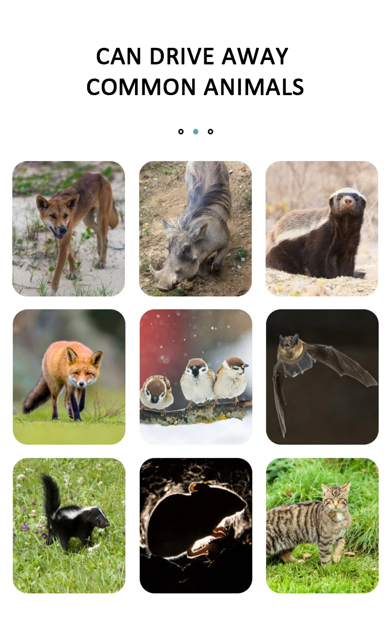 

Solar Power Repellent Deterrent Animal Repeller Ultrasonic Solar Power Bird Dog Cat Deer Raccoon Repellent Ultrasonic Repeller