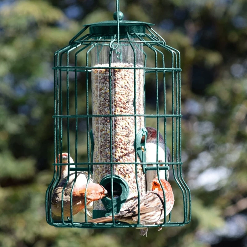 

Hanging Wild Bird Feeder Transparent Plastic Cylinder Tube Metal Cage for Outdoor Squirrel Proof with 4 Feeding Ports