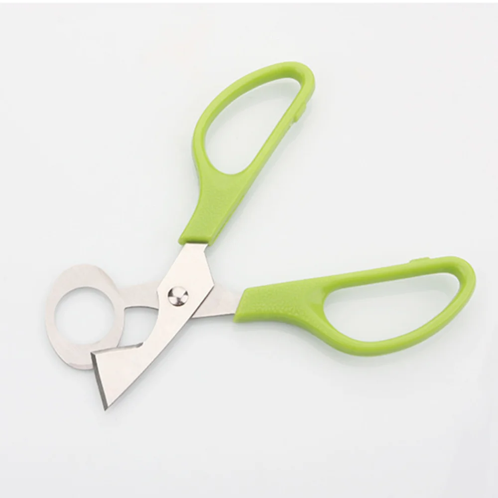 

Quail Egg Cutter Scissors Birds Egg Opener Stainless Steel Kitchen Clipper