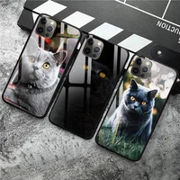 british shorthair cat phone case tempered glass for iphone 12 pro max mini 11 pro xr xs max 8 x 7 6s 6 plus se 2020 case