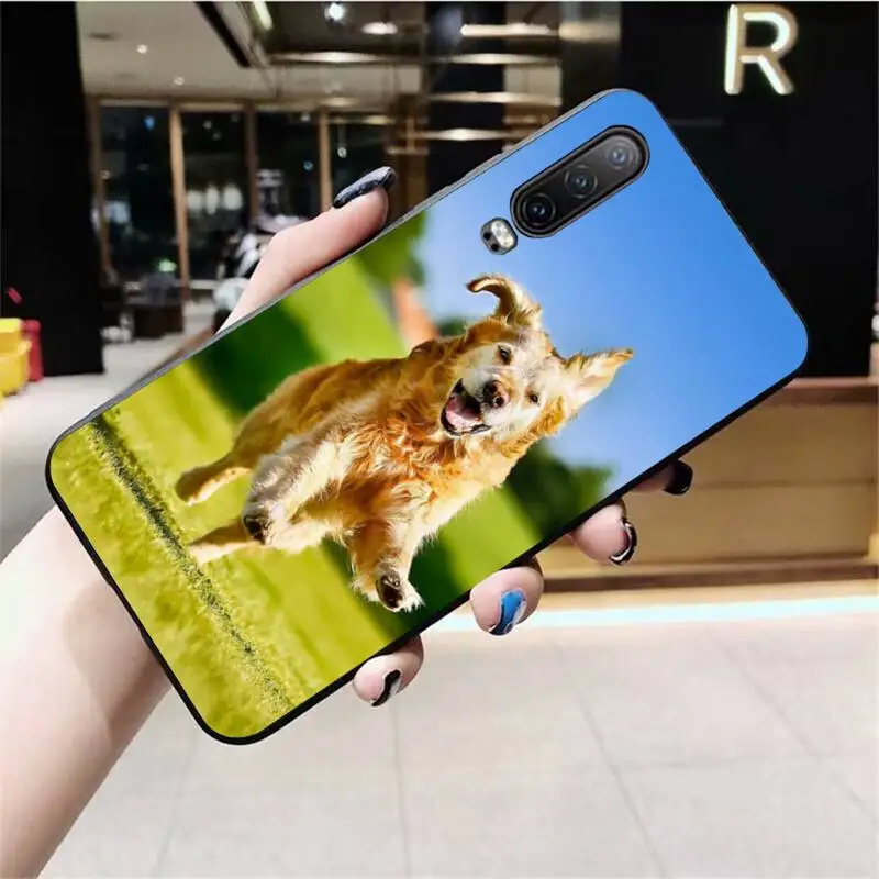 Чехол для телефона с изображением собаки золотистого ретривера Huawei P40 P30 P20 lite Pro