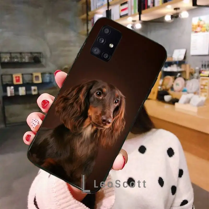 

Funny dachshund dog Phone Case For Samsung galaxy S 7 8 9 10 20 edge A 6 10 20 30 50 51 70 note 10 plus