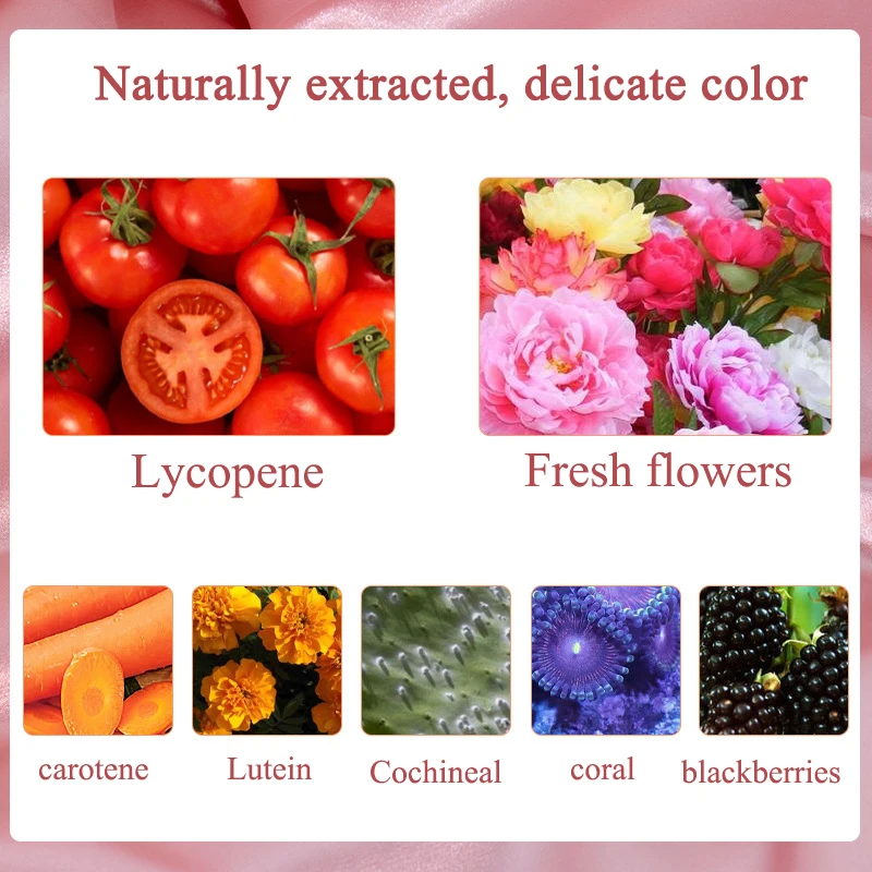 16Pcs/ Set Lipstick Powder Lip Gloss Coloring for Cosmetics Makeup DIY 1g/5g/10g/Bottle Colorful Pigment |