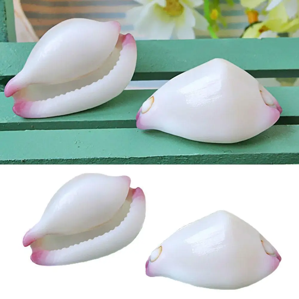 

1pc Natural Jade Rabbit Snail 2.5cm White Conch Small Exquisite Wall Sticker Specimen Diy Treasures Rare Shell Collection Gift