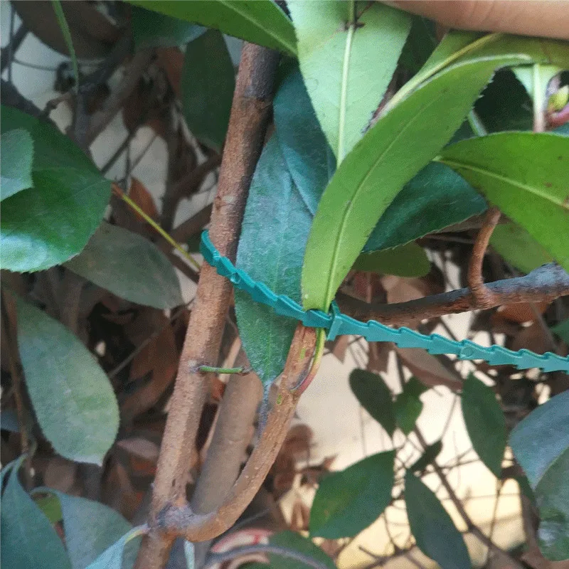 Многоразовые садовые тканевые трости пластиковые для скалолазания|Опоры и