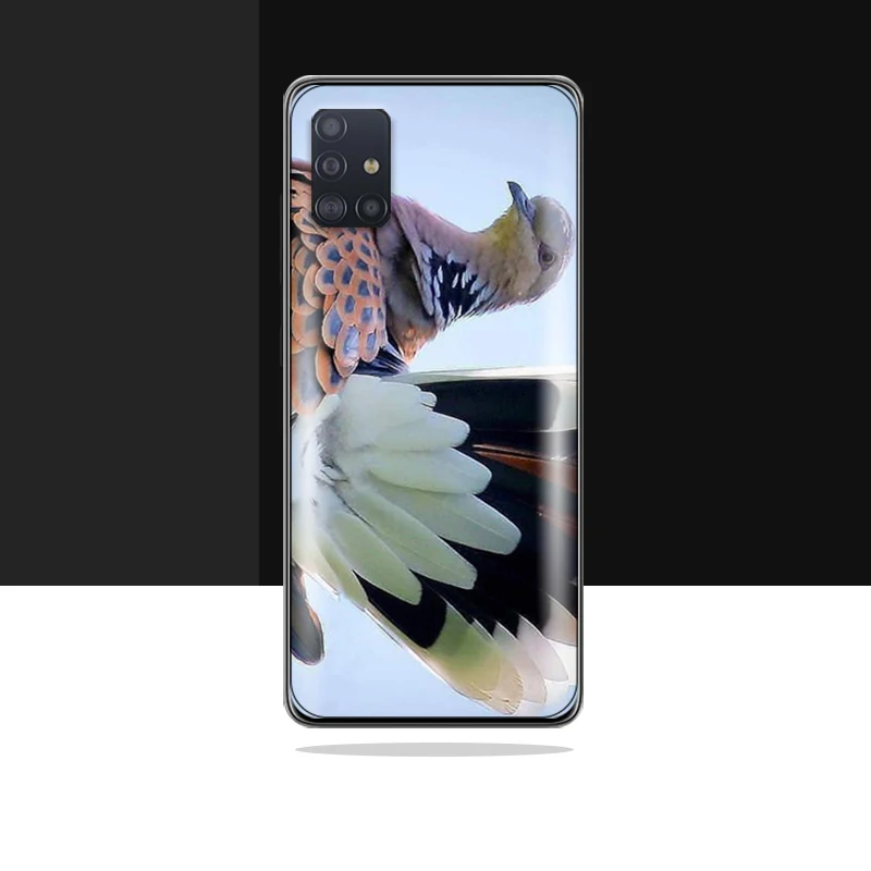 

Animal Cute Birds Phone Case For Samsung Galaxy A72 A71 A51 A70 A60 A50 A40 A30S A30 A20E A20 A10 4G 5G TPU
