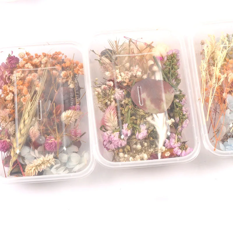 1 коробка случайные красочные настоящие сухие цветы растения для изготовления