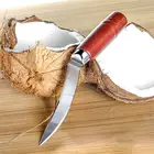 Нож для удаления кокоса из нержавеющей стали, нож для ракушек скребок для резки, деревянная ручка инструмент для кокоса, для кухни