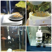 fish egg incubator tumbler aquarium fish farming cichlid instead mouth breeder tumbler fish hatcher with air device