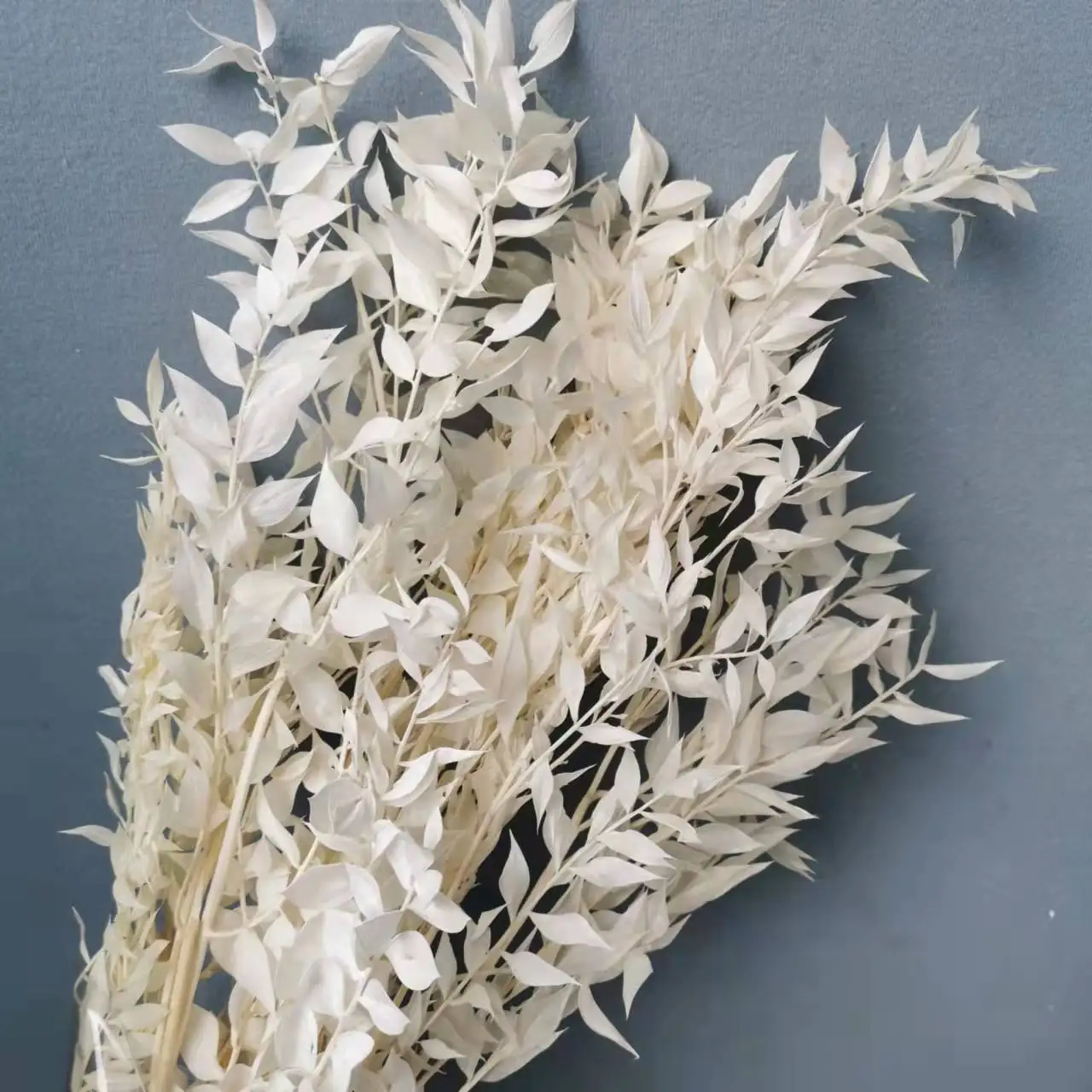 

30g/40cm,Natural Dried flowers white Fugui Leaves Branches,Display bouquet de mariage flowers Wedding Home fall Decorations
