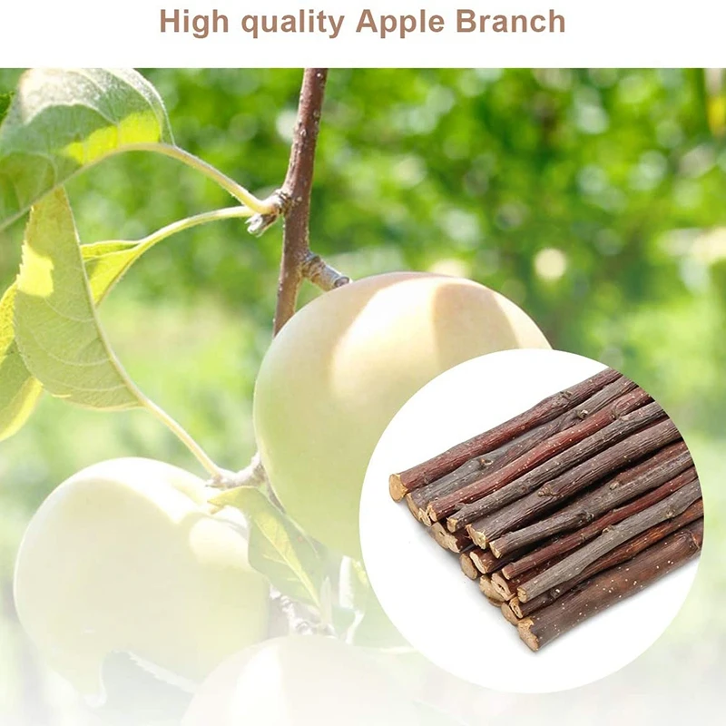 

370G Mix Apple Sticks Hamster Rabbit Pet Chew Toys 3 Types of Combined, Guinea Pig Chew Molar Sticks Toys