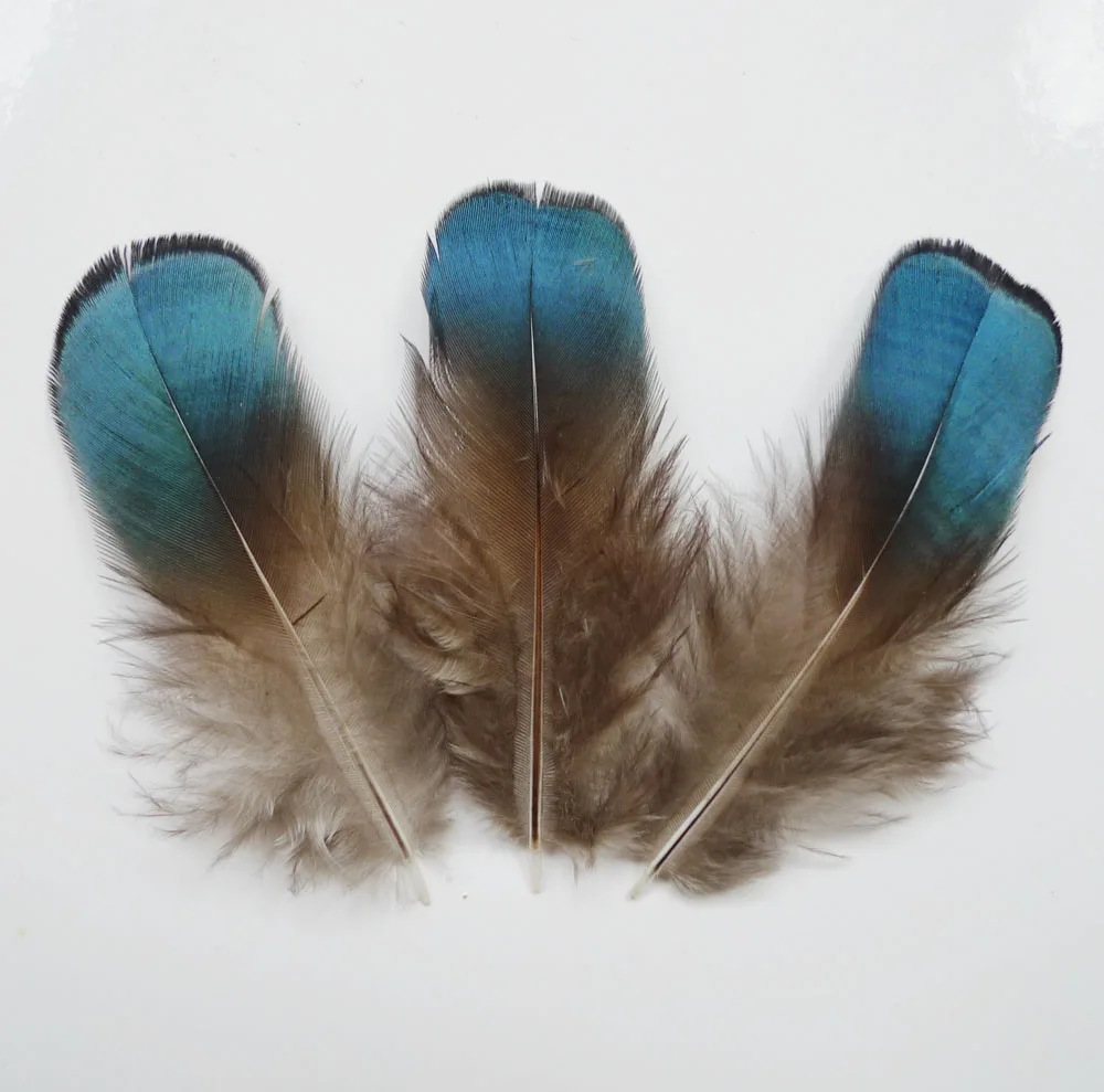 

10/20 шт., натуральные фазаньи 4-9 см, куриные перья для рукоделия, украшения для одежды