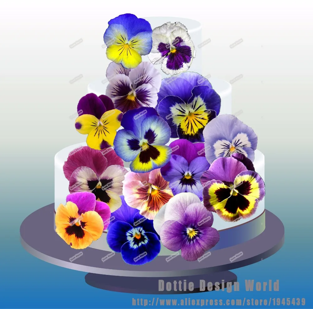 24 синих цветов в стиле Панси съедобный Топпер для торта Вафля рисовая бумага