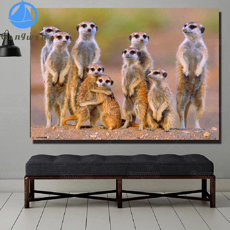 

DIY Вышивка Животных 5d diy алмазная живопись Meerkat художественная вышивка крестом полностью квадратные Стразы Алмазная мозаика