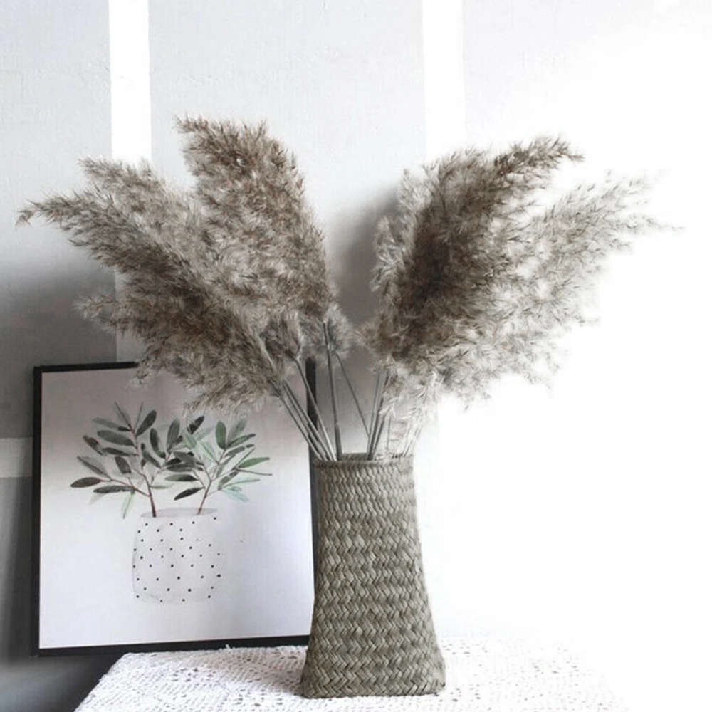 

10/50PCS Natural Dried Reed Dry Flower Bouquet Festival Wedding Flower Bunch Decoration Dried Pampas Grass Phragmites Home Decor