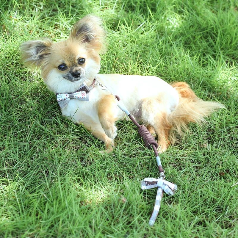 Поводок для ошейника домашних животных клетчатый бант из нейлона регулируемый