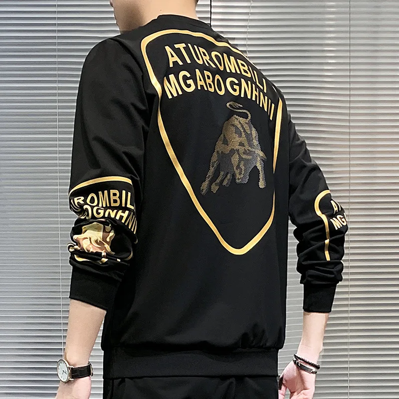 

2021 spring new sweater men's printing trend Pullover round neck long sleeve fit casual men's T-shirt