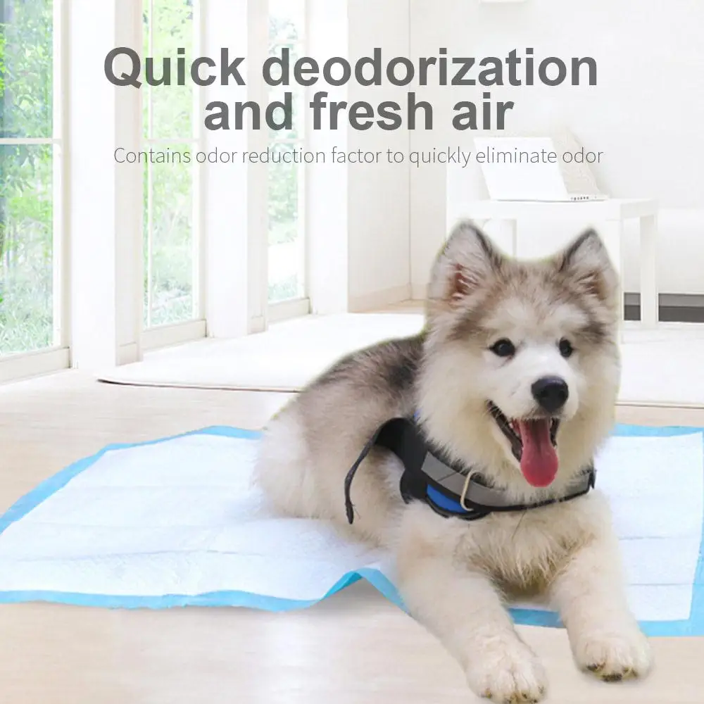 

Antibacterial Non-Woven Pet Training Pads Dog Urine Pad Cat Potty Deodorant Diaper Convenient Disposable Indoor Puppy Pee Mats