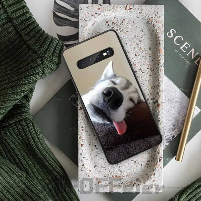 Роскошный брендовый чехол с забавными собаками хаски чехлы для samsung galaxy S8 S9 S10e S20