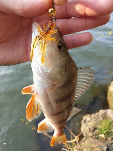 Esfishing, ловля со льдом, плавающая креветка, приманка, мягкая, раки, 10 шт., 45 мм, 0,8 г, щупальца, искусственные приманки, водная приманка