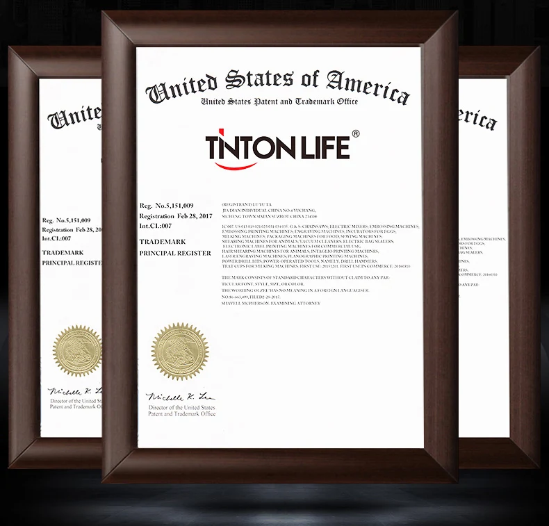 TINTON LIFE 33000R/M 2L BPA бесплатно профессиональный блендер для смузи, Миксер для еды, соковыжималка, Кухонный комбайн для фруктов