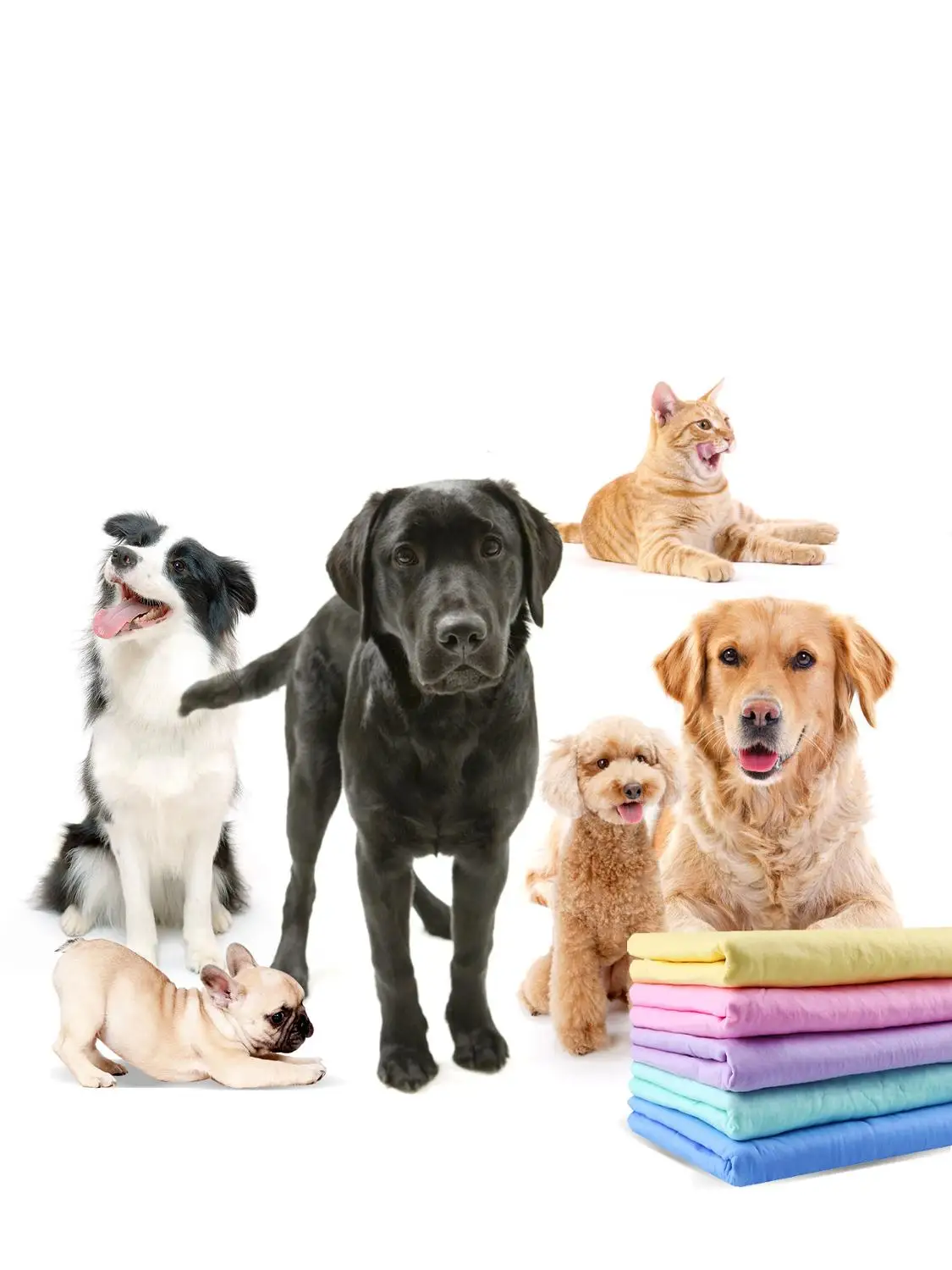 Комплект из 2 предметов быстрое впитывание воды для домашних животных собак