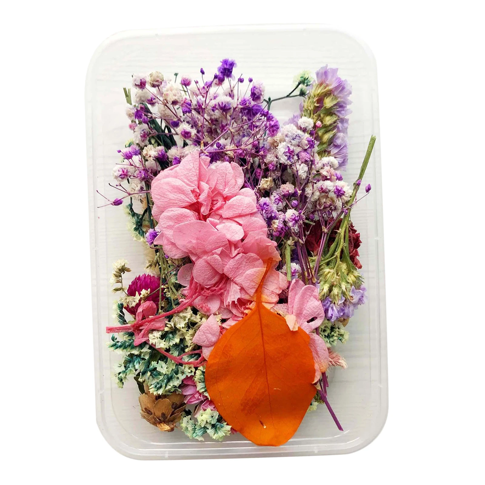

Assorted Real Pressed Dried Flowers Petals Crafts DIY Candle Nail Art Decors