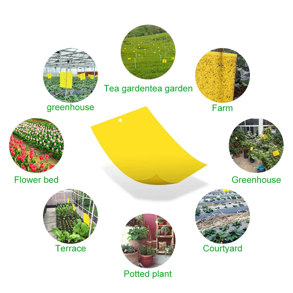 

100pcs Paste Insect Board Dual-Sided Yellow Sticker Bug Fly Aphid Insects Glue Board Whitefly Thrip Leafminer Glue Sticker