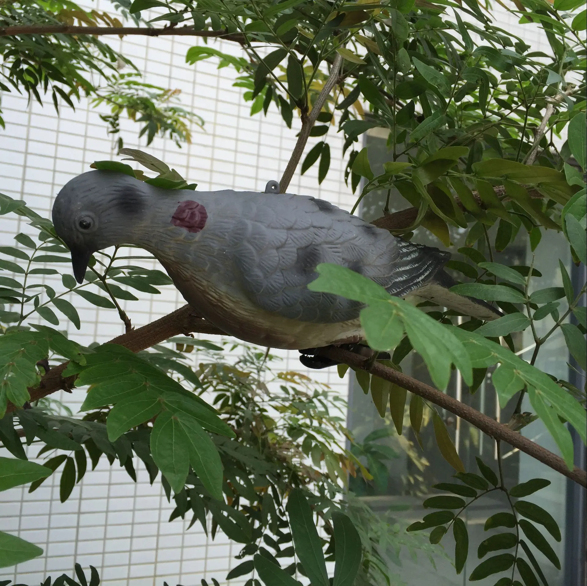 Горячий пластиковый голубь двора охотничьи приманки Декор Поддельные модели