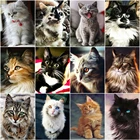 Картина из квадратныхкруглых страз с изображением кошки, 5DIY, алмазная вышивка крестиком, животные, набор мозаики из страз, украшение для дома