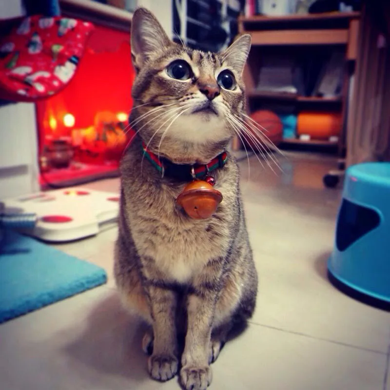 15 35 мм кожа ручной пресс форма маленький колокольчик в форме обработки кожи