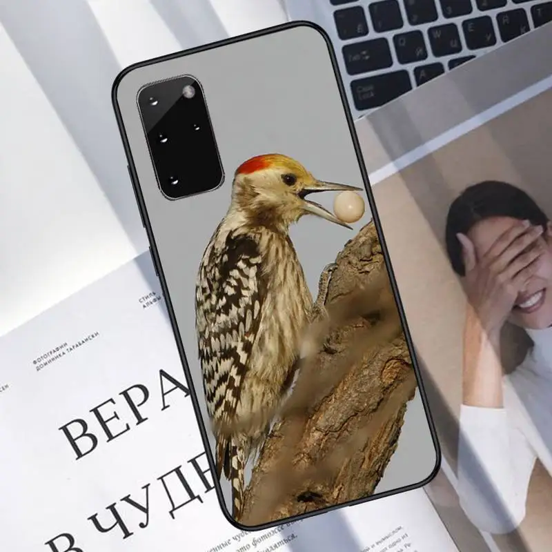 

woodpecker Phone Case For Samsung S6 S7 edge S8 S9 S10 e plus A10 A50 A70 note8 J7 2017