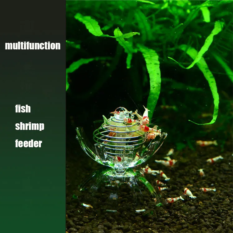 Многофункциональная кормушка для рыбок и креветок аквариума | Дом сад