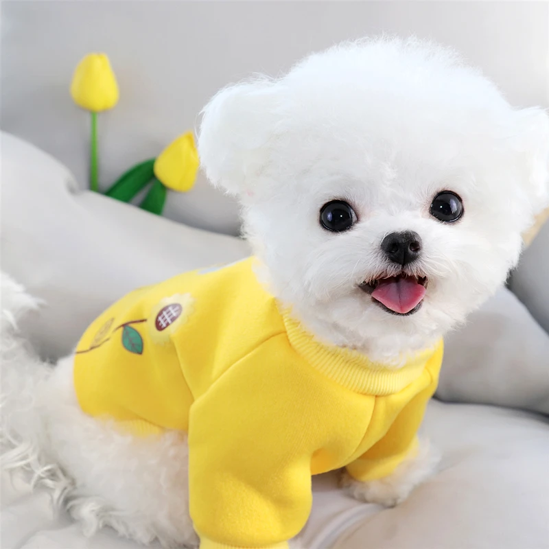 Свитер с цветами для домашних животных осенняя и зимняя одежда Женский Бишон