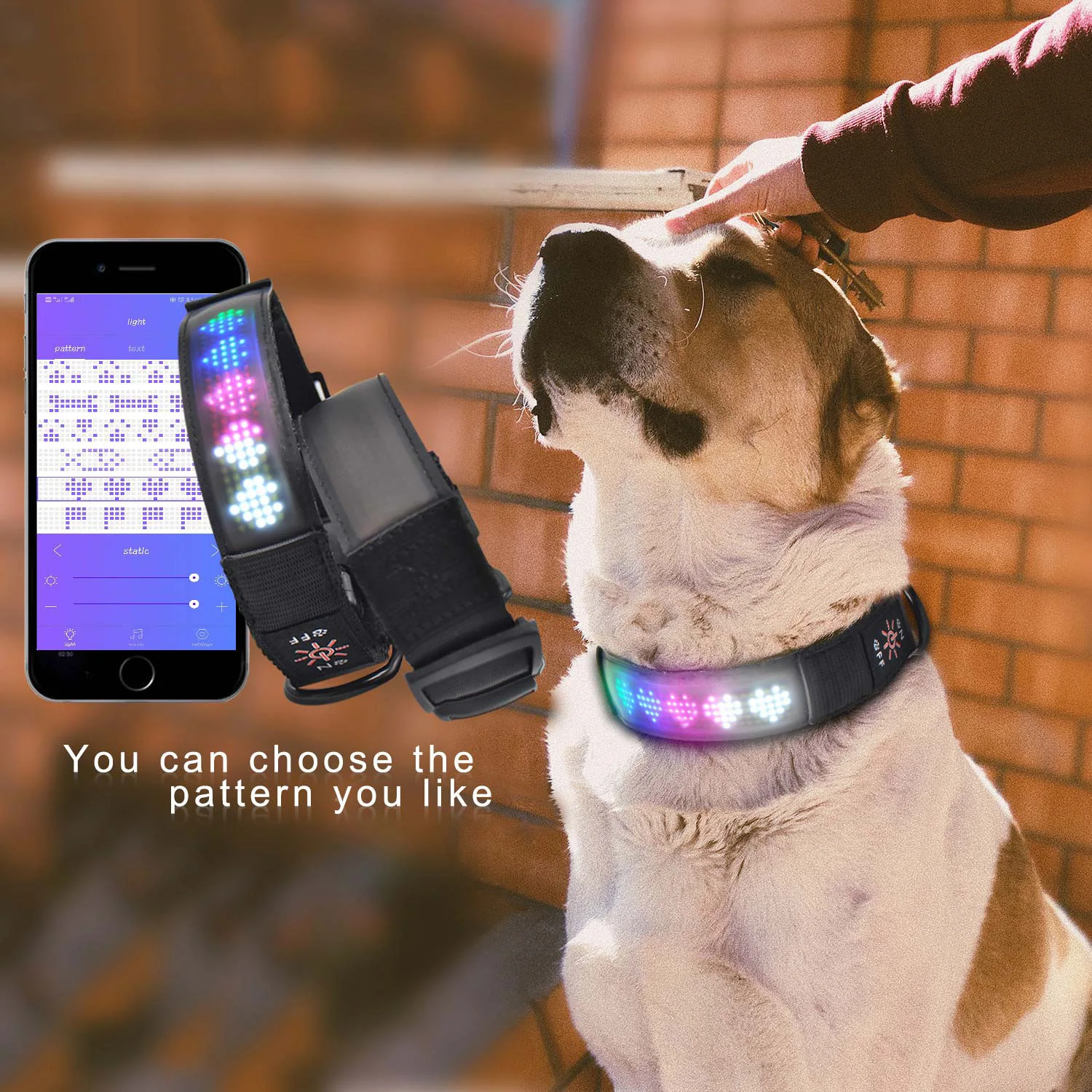 

Usb Charging Led Display Pet Collar App Control Luminous Dog Collars Avoid Car Accident At Night Safety Flashing Collar Perro