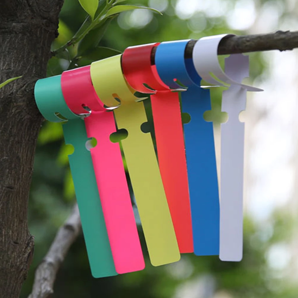 

Garden Label 100/300pcs Mix Colors Garden Plant Pot Plastic Stake Tied Tag Lawn Seed Labels Flower Court Plant Marker Nursery