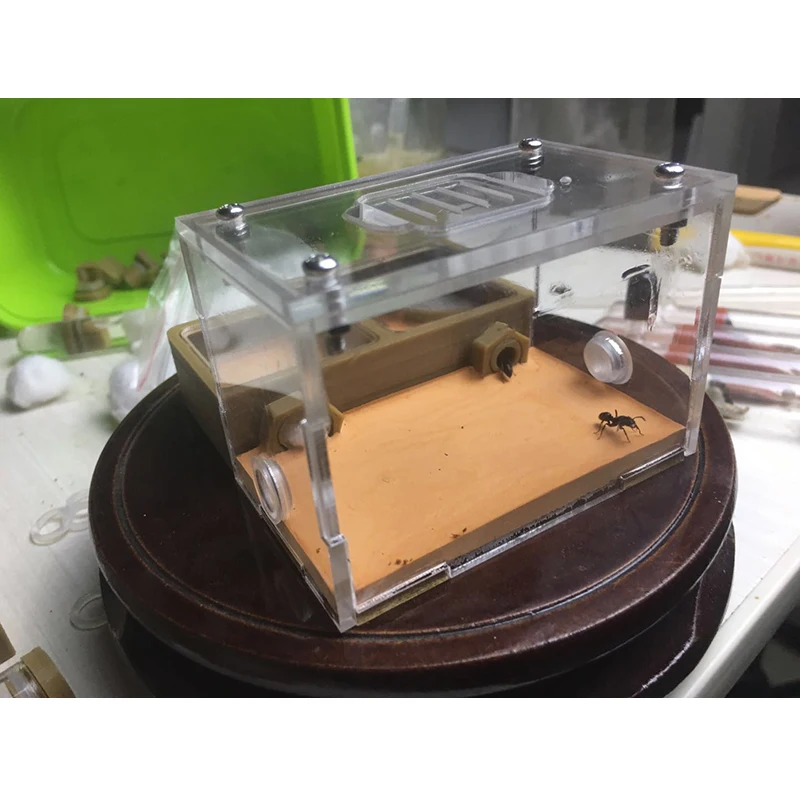 3D печать плоский муравьиный гнездо двойная сетка акриловая муравьиная ферма