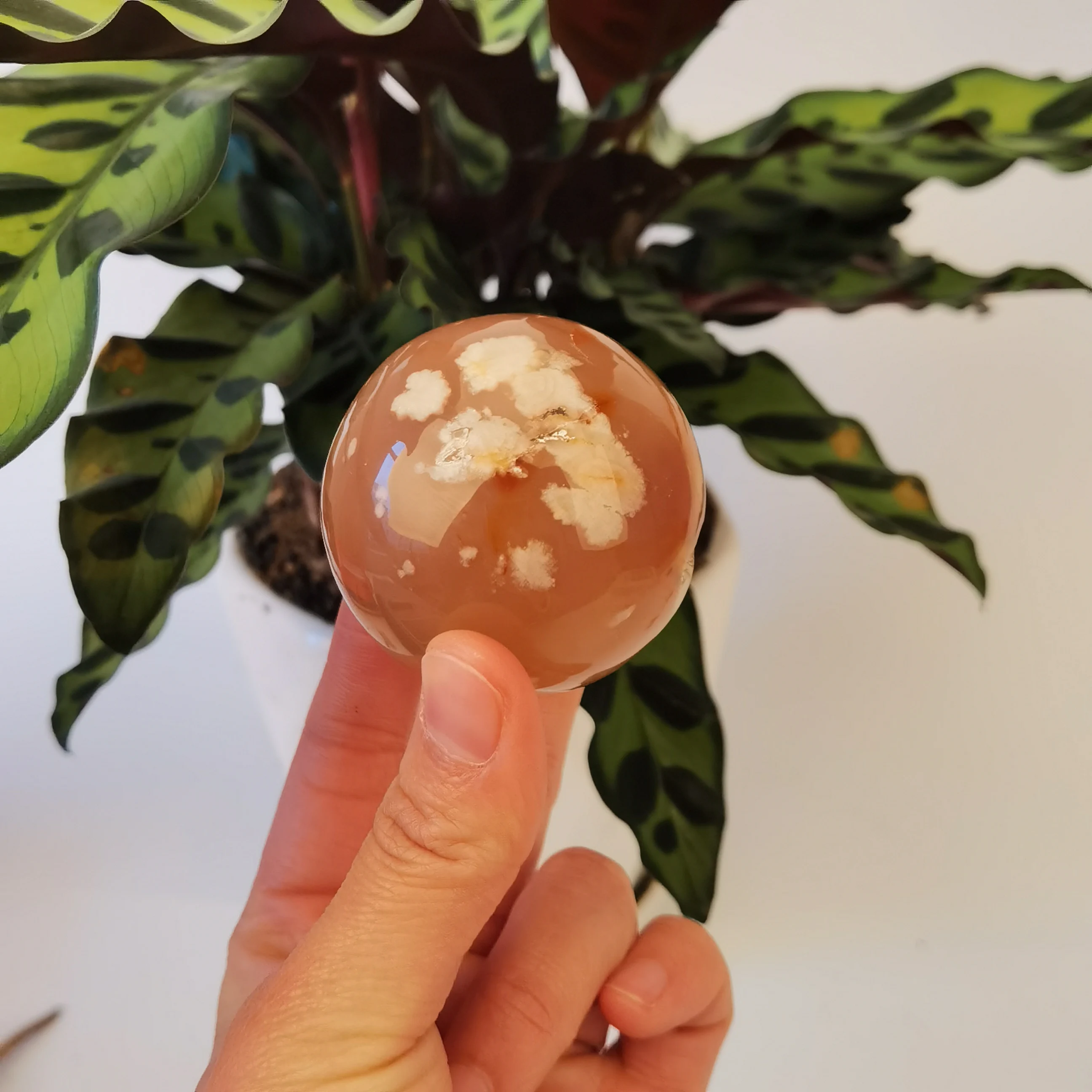 

1pcs Natural Sakura Cherry Agate Quartz Crystal Quartz Crystal Sphere Ball Healing Decor Gifts Natural Minerals
