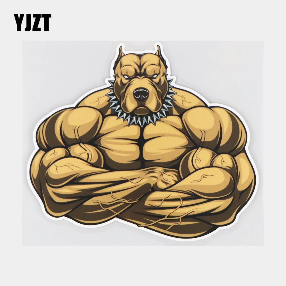 

YJZT 17.2×14.8CM Strong American Pitbull Terrier Bumper Decoration Car Stickers Accessories 21A-0154