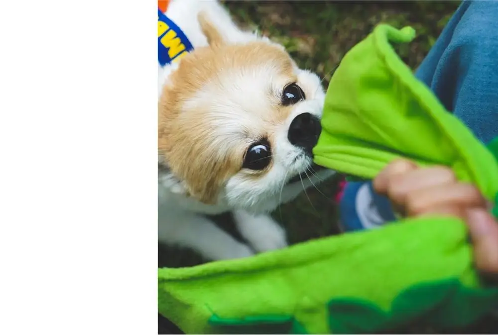 Корейский завтрак овощей собака плюшевая игрушка еда с забавными звуковыми