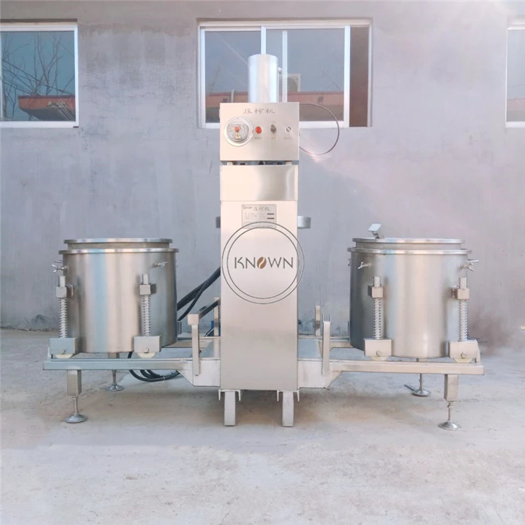 Factory price double tank 100-500ml vegetable and fruit press machine Juice extruder for sale | Бытовая техника