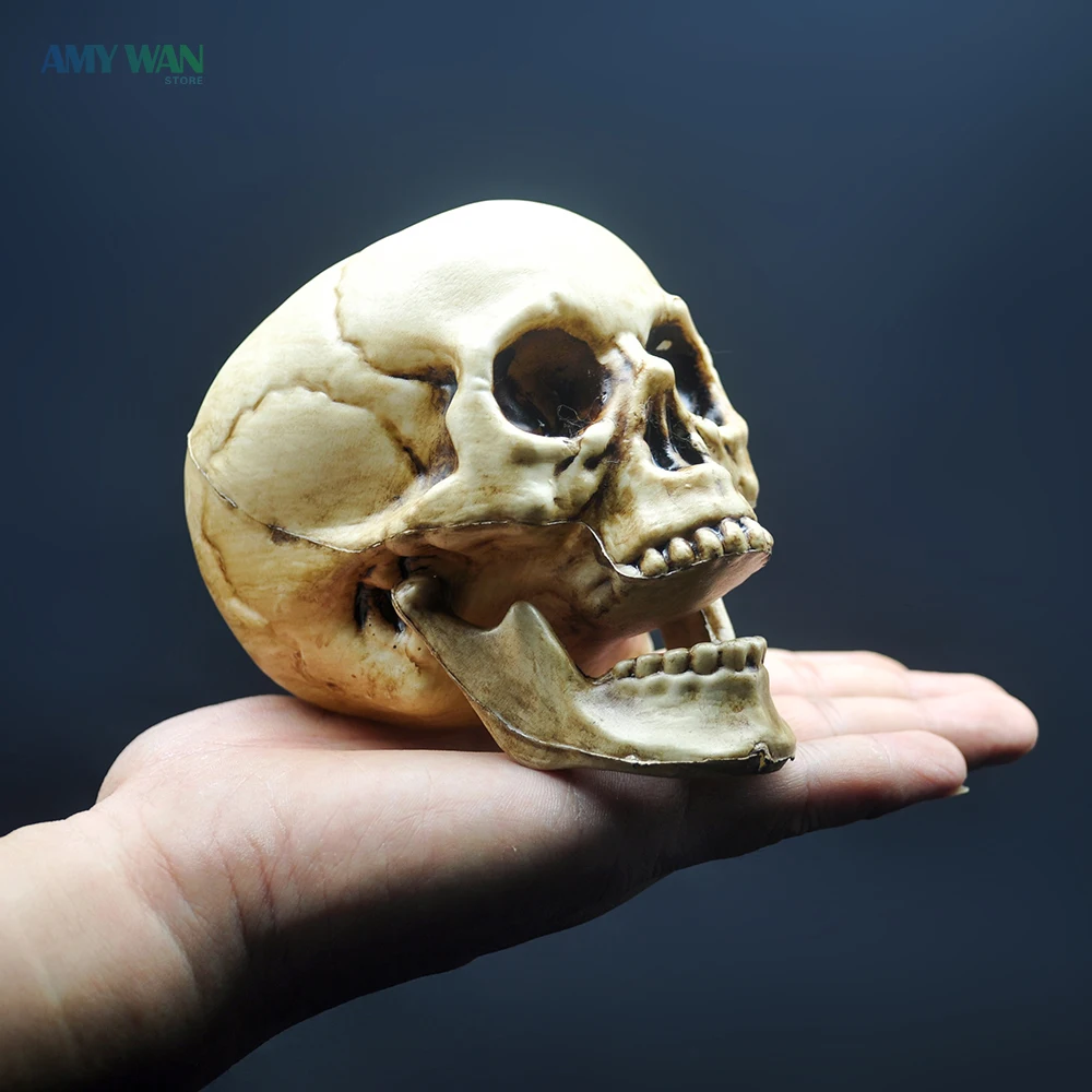 Пластиковая модель в виде черепа масштабе 1:1 украшение для дома и вечеринки стиле