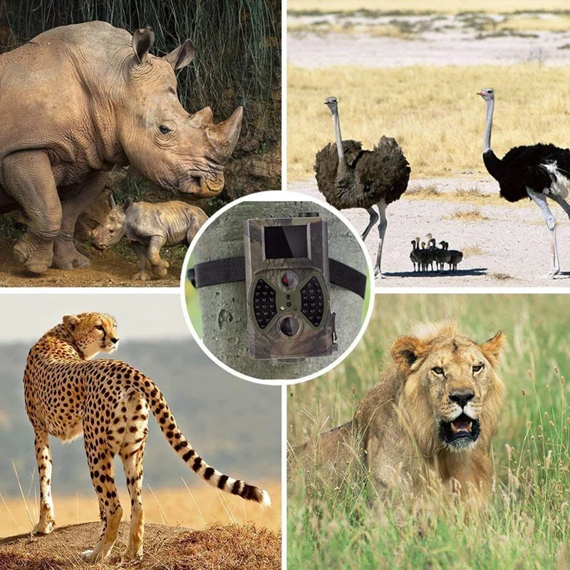 HC-350A Trail Camera 16MP HD 1080P Infrared Night-Vision Hunting for Wildlife Monitoring &ampHome Security | Электроника