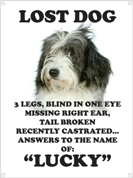 

Tin Sign Lost Dog Coffee Bar Decoration Home Decor