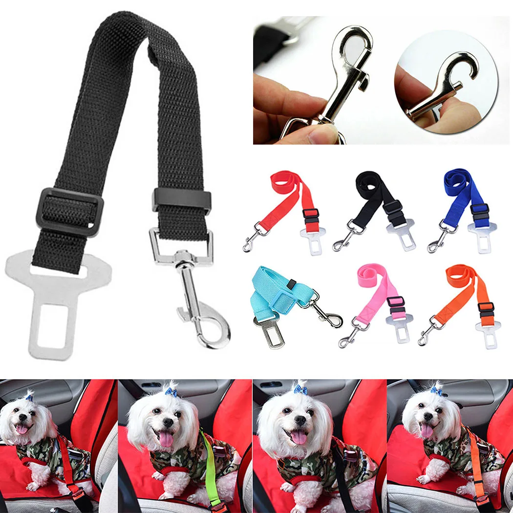 Поводок для домашнего питомца 10|Поводки| |