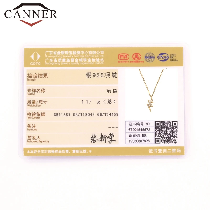

CANNER INS Style Lightning Zircon Real 925 Sterling Silver Necklace for Women Gold Color Clavicle Necklace Chain Fine Jewelry