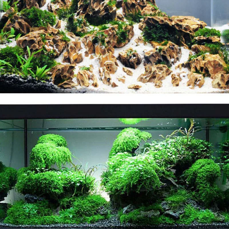 

Water Grass Glue, Moss Glue,Water and Grass Landscaping Glue