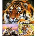 DIY 5D алмазная живопись полный квадрат тигр вышивка крестом наборы Алмазная мозаика Алмазная вышивка ручной работы узоры Стразы