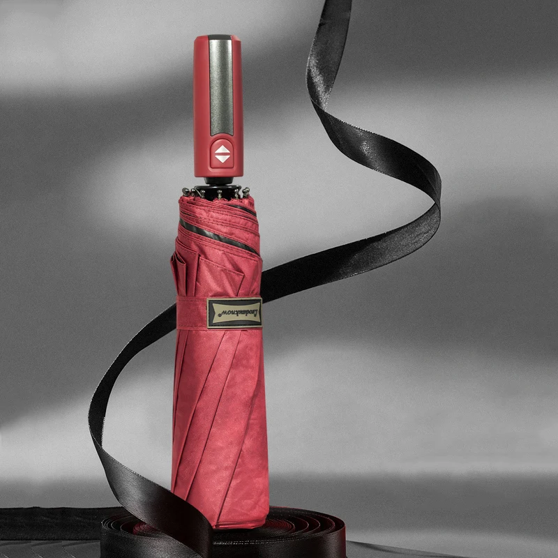 Большой женский Автоматический Зонт от дождя с 10 ребрами прочный ветрозащитный